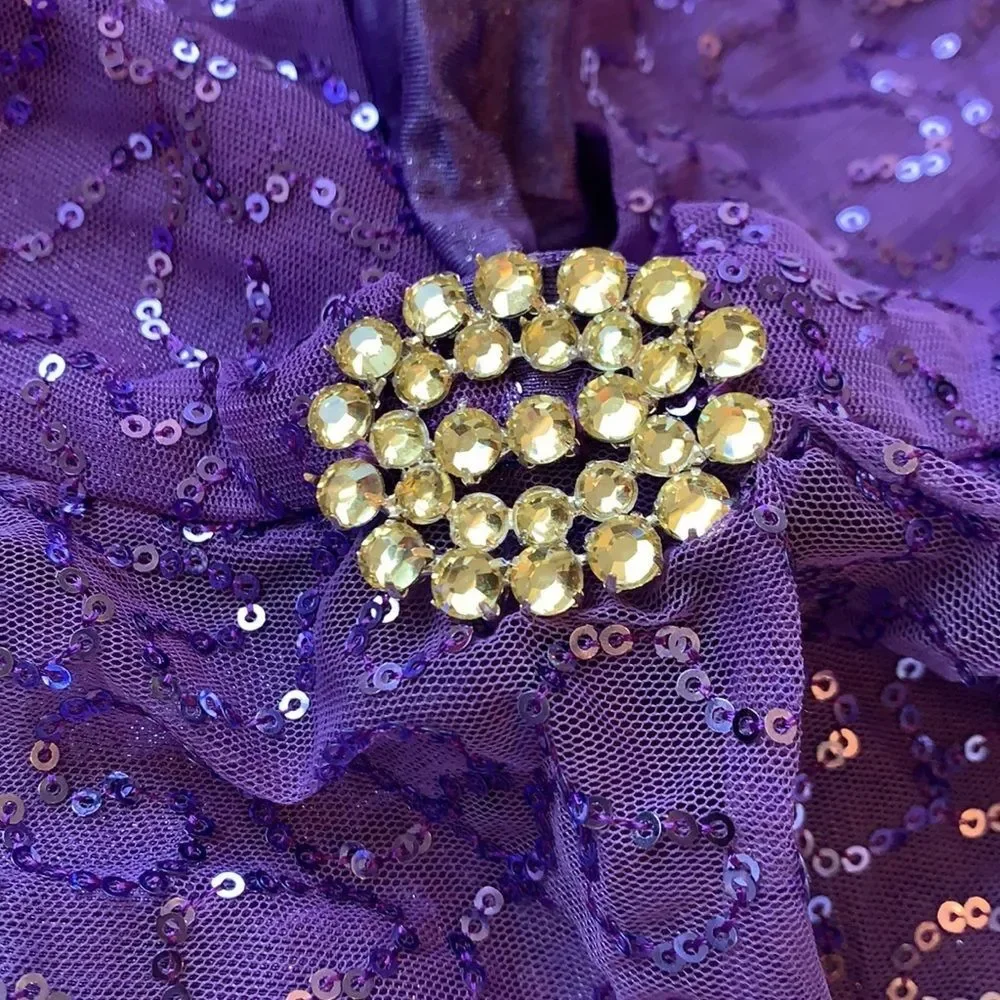 Source Unknown purple sequin